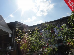 DSC00871