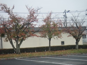 DSC00892