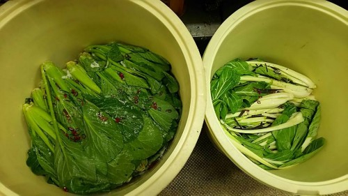 漬物