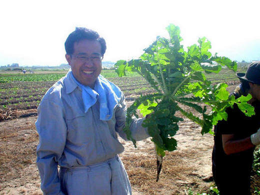 無農薬で菌を生かした「元気野菜」